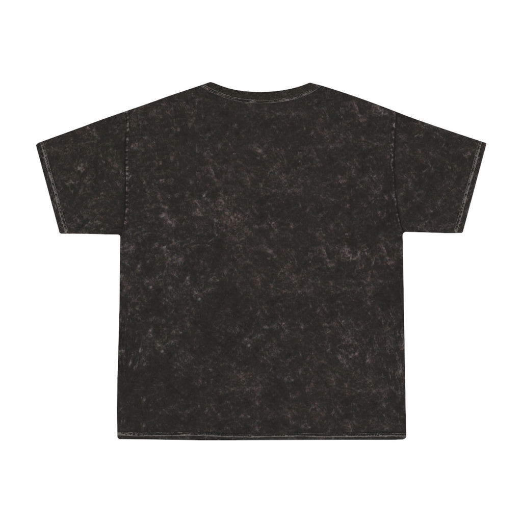 Aether Inn Mineral Wash - Plato Tee